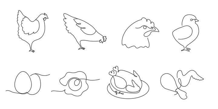 One line chickens. Farm bird, chicken meat and eggs continuous line illustration vector set