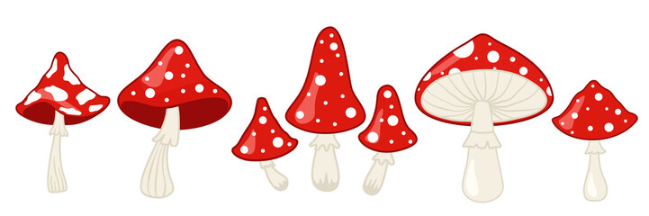 Amanita mushroom. Fly agaric, white spotted red mushrooms and forest toadstool vector illustration set © WinWin