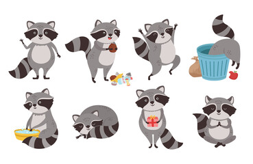 Raccoon character. Funny coon in trash, wild raccoons in different poses and cute mammal animal mascot cartoon vector set - obrazy, fototapety, plakaty