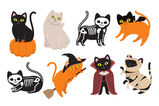 Halloween cats. Black kitten in Dracula vampire costume, mummy animal and witch cat. Ghost pet, scary skeleton and kitty on pumpkin vector set