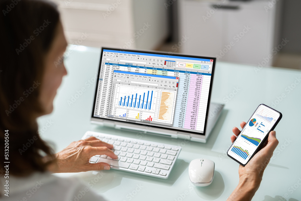 Poster Electronic Spreadsheet Analyst Or Auditor Using Software