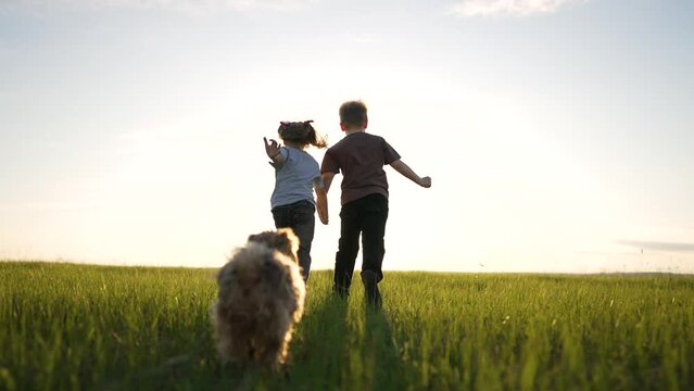 Happy cheerful family. Children have fun running on green grass in park with dog. Girl and boy are play in field in the spring with dog. Love for pet. Children run with dog at sunset in summer.