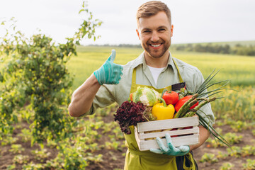 Happy farmer man holding basket with fresh vegetables in garden, gardening concept