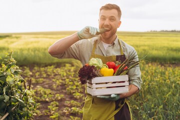 Happy farmer man holding basket with fresh vegetables and biting cucumber in garden, gardening concept