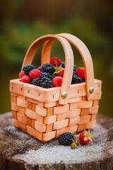 Fresh berries in basket. close-up of summer raspberries and blackberries outdoors