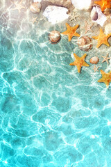 Fototapeta na wymiar Starfish and seashells on the summer beach in sea water. Summer blue background. Summer time