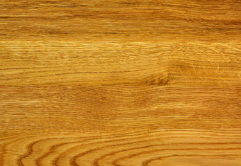 Oak wood texture. Solid wood pattern