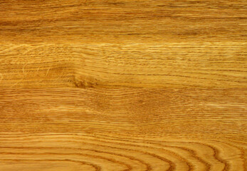Oak wood texture. Solid wood pattern