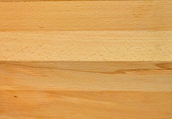 Beech wood texture. Solid wood pattern