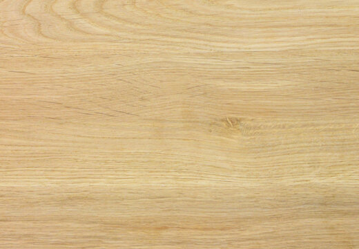 Oak wood texture. Solid wood pattern