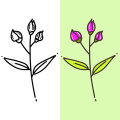Obraz premium beautiful hand drawn flower, editable vector file for all of your graphic needs.