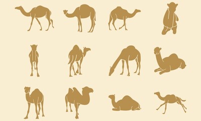 12 Silhouette of Camels With Detail and Different Perspective