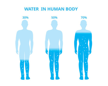 Water in the human body. Female, Difference percentage . Vector Illustration