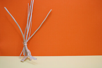 Bunch of twigs on an orange and cream background with space for text