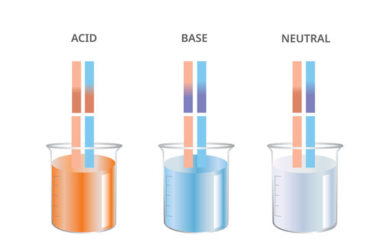Litmus test, Acid, Base, Neutral Ph Paper test. Vector Illustration 