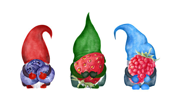Small gnome set with summer fruits - raspberry, strawberry, blueberry. Watercolor bundle gnomes with berries