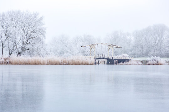 Bridge and white frozen trees in fairytale atmosphere on the bosbaan in the Amsterdamse Bos in the Netherlands.