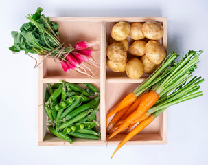 Fresh vegetables in a wooden basket - green peas, radishes, potatoes and carrots close-up ,top view on a white background