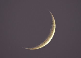 Crescent moon closeup. Dusk sky.