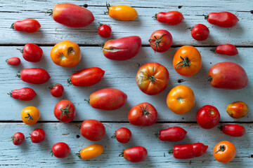 Ugly tomatoes on a light wooden table, top view, rustic style
