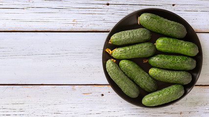 Fresh cucumbers from the garden on a light wooden background, natural eco food