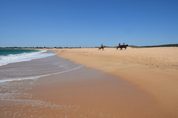 amazonas en playa  MONUMENTO NATURAL DEL TOMBOLO DE TRAFALGAR