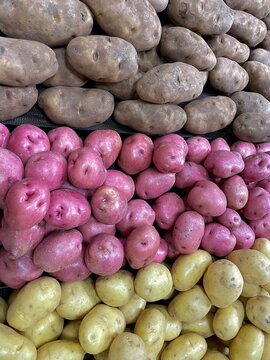 Potatoes are red, brown, and white in rows