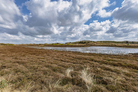 View on a dune landscape, national park The Slufter on the island of Texel, Netherlands