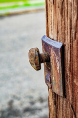 A rusted bolt on a telephone pole.  This bolt, on the side of a utility pole, is used to attach a removable Pole Step.  Pole in Binghamton in Upstate NY.