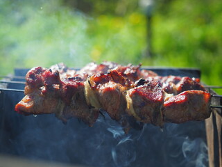Grilled spicy marinated Pork kebab on on a skewer summer bbq with hot smoke, mustard and sauce closeup. Summer gatherings with friends, meat on the coals, outdoor recreation at a picnic