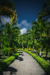 Walking path in the exotic park