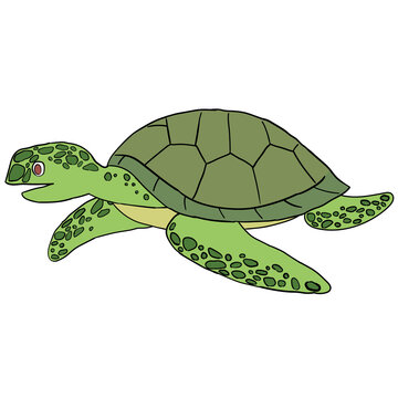 A hand drawn cartoon green reptile turtle isolated on a white background. Flat design. Vector illustration.