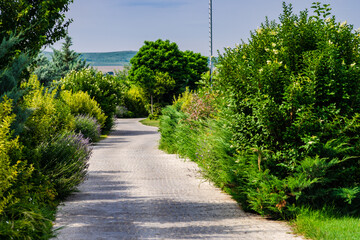 Rural park decoration