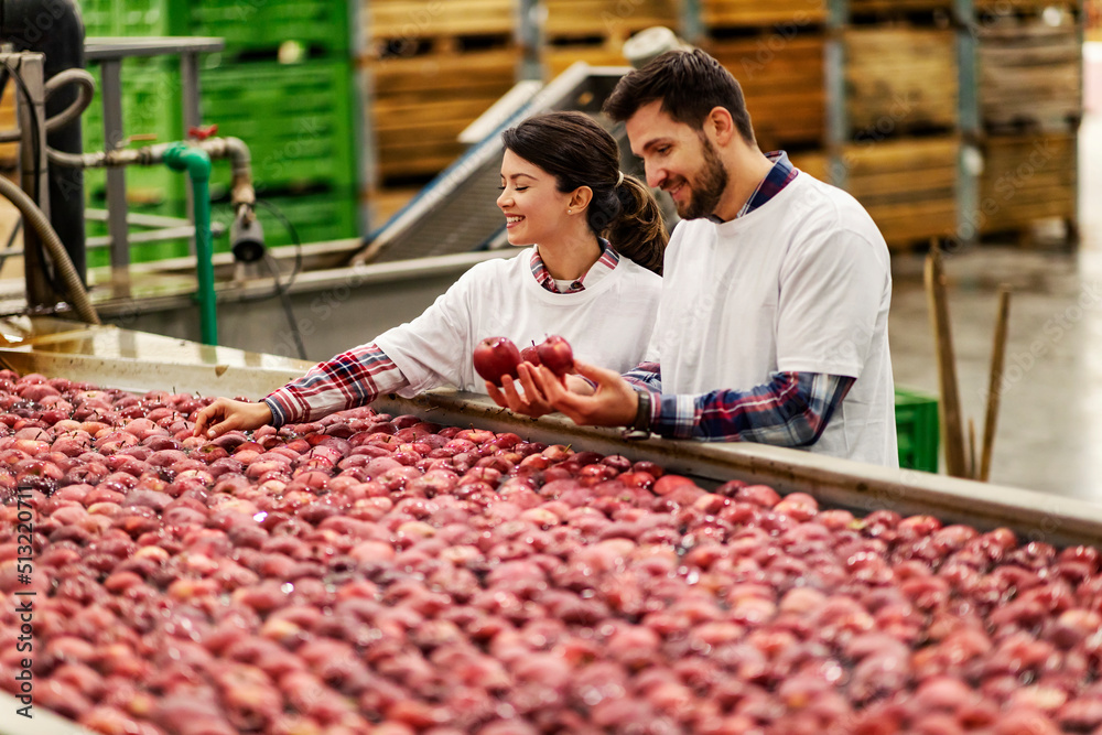 Wall mural two workers doing quality control of apples in facility.