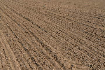 Freshly plowed spring field. For planting vegetable seeds.
