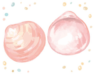 水彩画風、海の貝。ベクターイラスト素材。