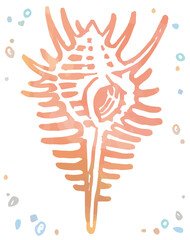 水彩画風、海の貝。ベクターイラスト素材。