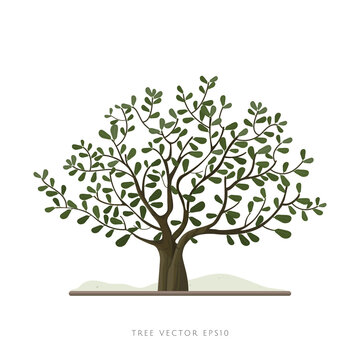 Big tree vector illustration isolated on white background
