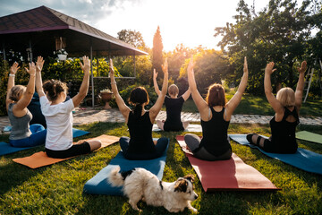 Group of women doing a group fitness workout together outdoor. Exercise, yoga in the park.