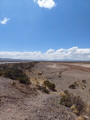 Arequipa, Perú