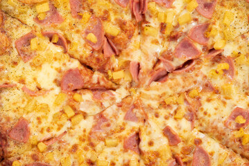 Obraz na płótnie Canvas close-up image of the center of a pizza, top view