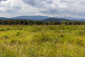 Obraz premium Countryside summertime landscape with valleys and grassy hills. Fluffy clouds on a bright blue sky. Nature freshness concept