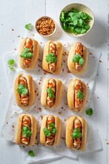 Spicy and delicious mini hot dogs with mustard and herbs.