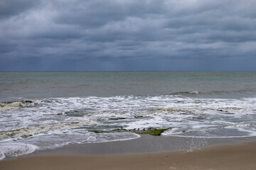 beach, sea and birds