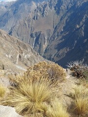 Arequipa, Perú