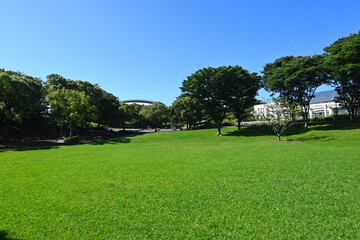 横浜清水ケ丘公園の芝生の広場