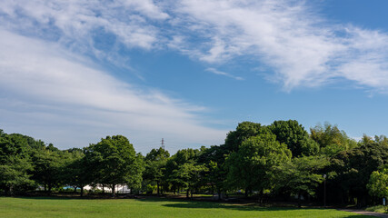 Fototapeta na wymiar 朝の公園は青空が似合う