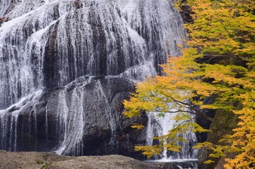 袋田の滝　秋・紅葉の季節