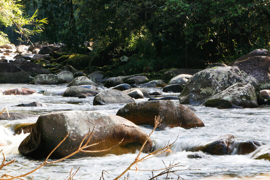 Rio com pedras em meio &agrave; floresta