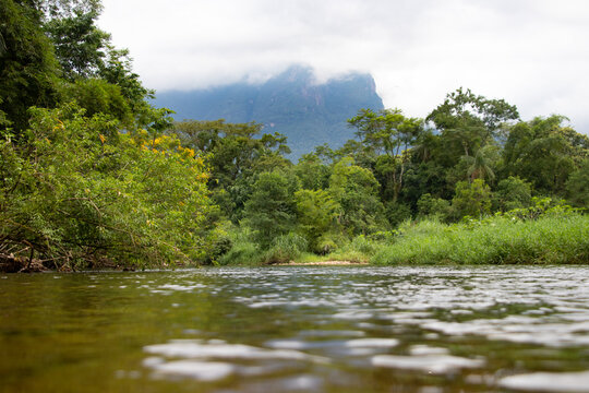 Mata Atl&acirc;ntica, estado do Paran&aacute;, sul do Brasil,  com rio M&atilde;e Catira e Pico Marumbio ao fundo.